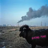 Cover Governo punk