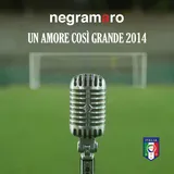 Cover Un Amore Così Grande 2014