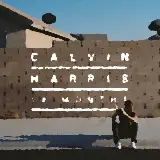 Cover I Need Your Love (feat. Ellie Goulding)