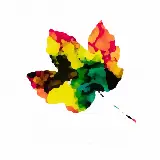 Cover Amor Che Muovi Il Sole