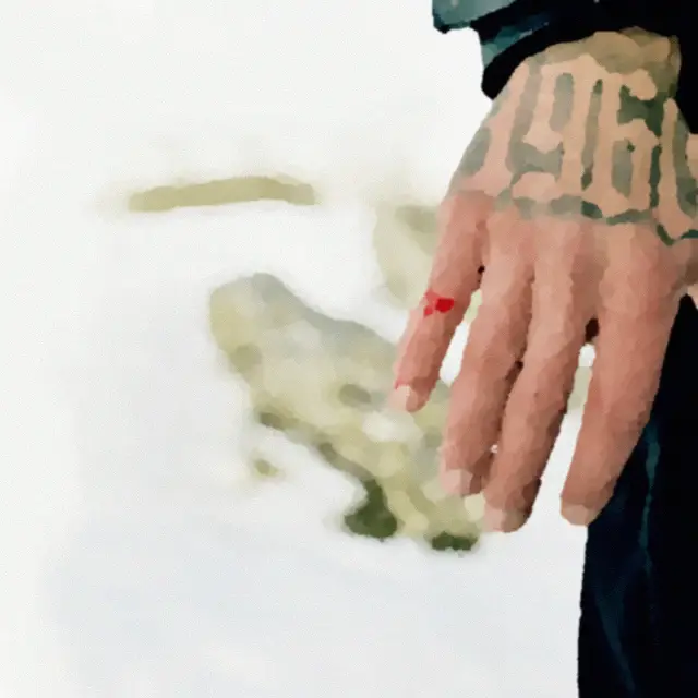 Cover Anche a vent’anni si muore