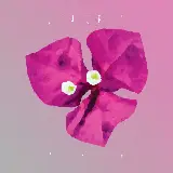 Cover Come il mare a settembre