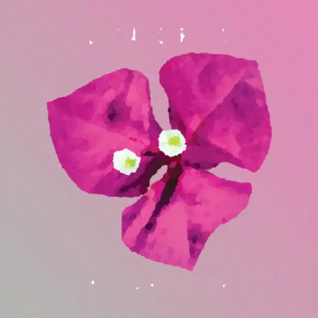 Cover Come il mare a settembre