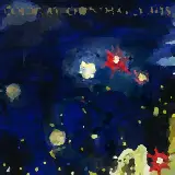 Cover Christmas Lights