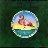 Cover The Light Is On