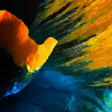 Cover Così speciale