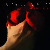 Cover Dalla pelle al cuore