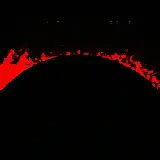 Cover Compagna Teresa