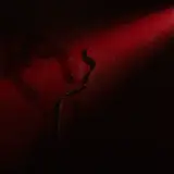 Cover Dimenticarsi alle 7