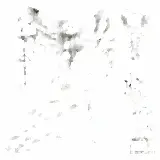 Cover Shottini di Lean