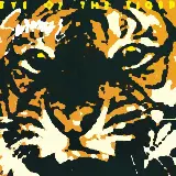 Cover Eye of the Tiger