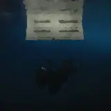 Cover BIRDS OF A FEATHER