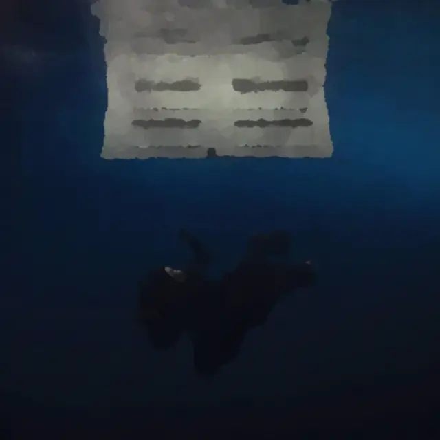 Cover BIRDS OF A FEATHER