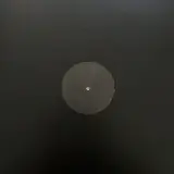 Cover Canzone d'autore - L'ultimo animale