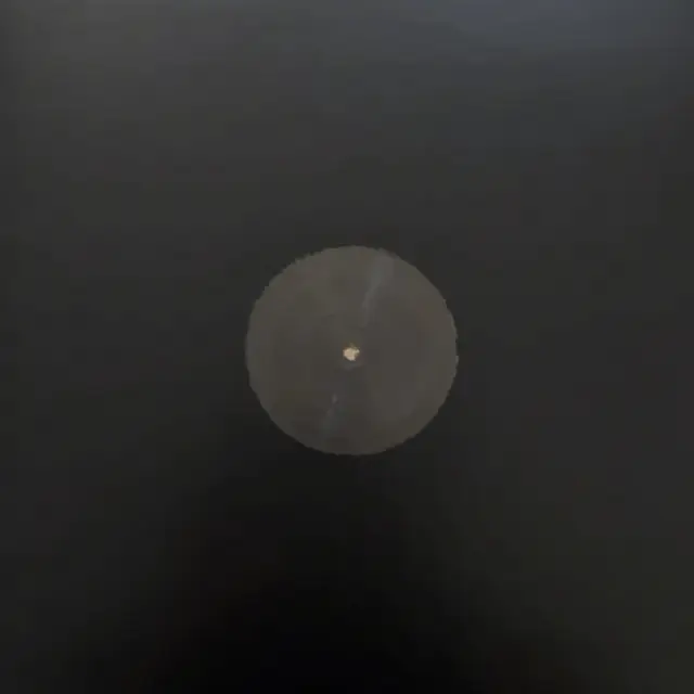 Cover Canzone d'autore - L'ultimo animale