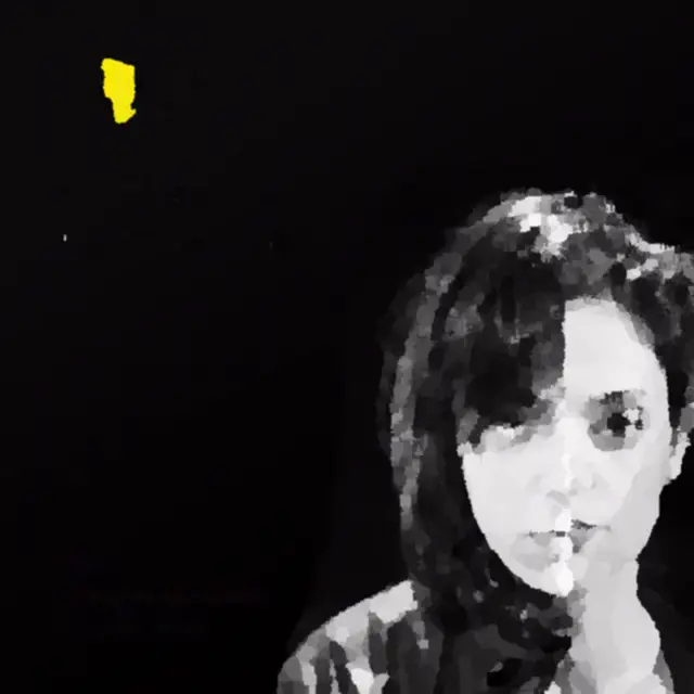 Cover Il cuore va nell'organico