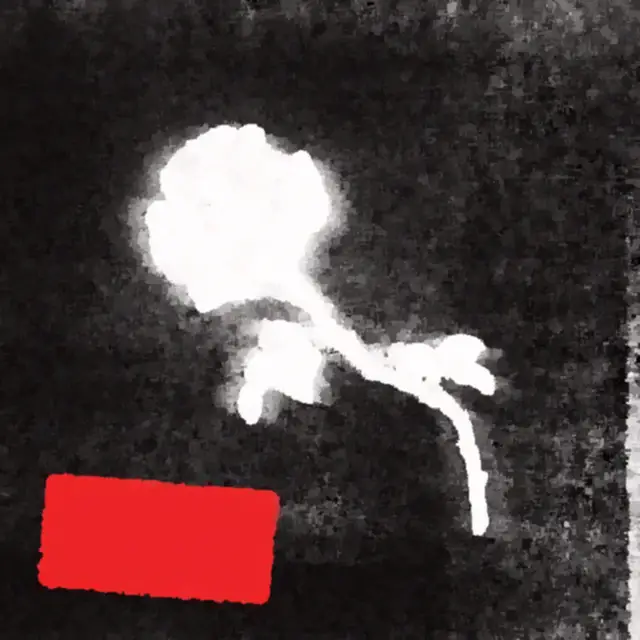 Cover ME STAJE APPENNENN' AMÒ