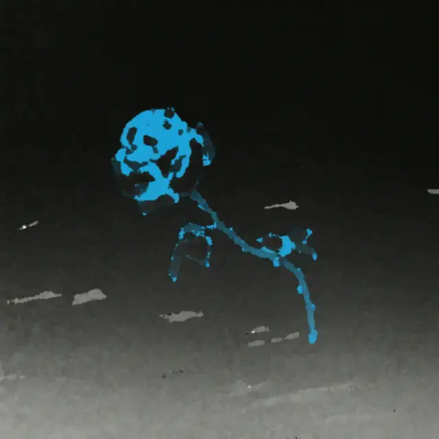 Cover LUCIA (STAY WITH ME)