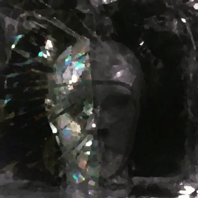 Cover Male Necessario