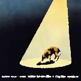 Cover Sfiorivano le viole