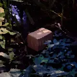 Cover Nascosta in piena vista