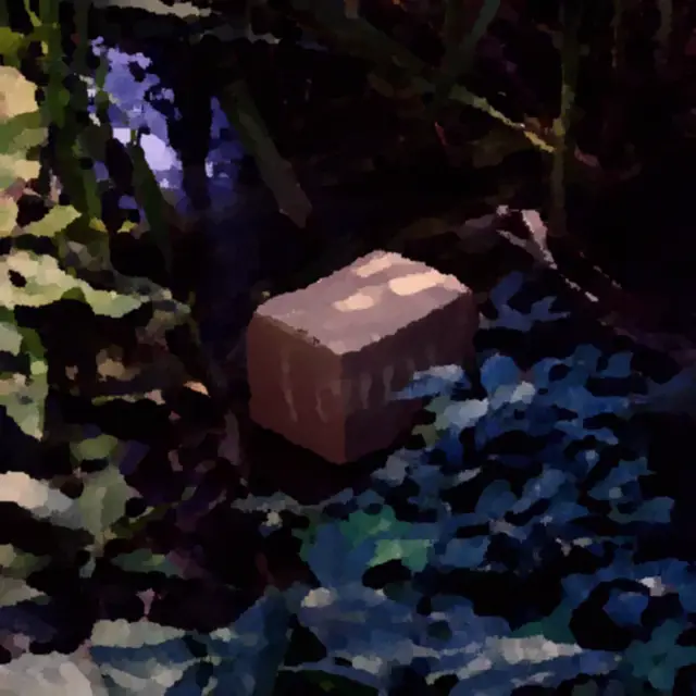 Cover Nascosta in piena vista