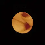 Cover Yellow