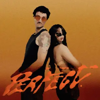 Cover Perfect