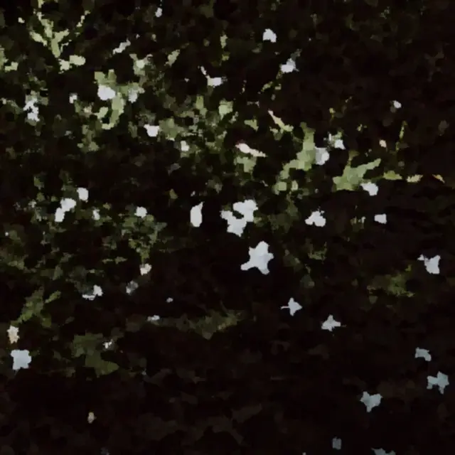 Cover Empireo Risolti