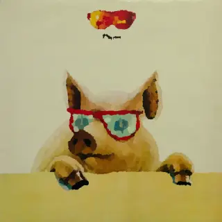 Cover Pigro