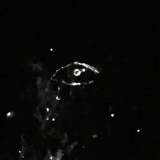 Cover QUESTA INSENSATA VOGLIA DI TE