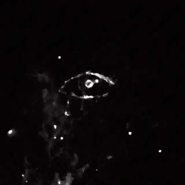 Cover QUESTA INSENSATA VOGLIA DI TE