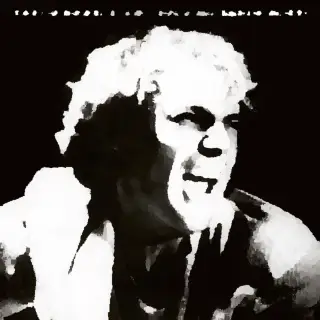 Cover Siamo Solo Noi