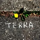 Cover Terra