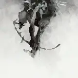 Cover Wastelands
