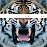 Cover This Is War