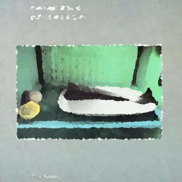 Cover L'abbigliamento di un fuochista