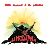 Cover Redemption Song