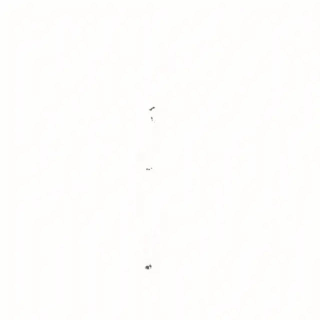 L'Officina Della Camomilla