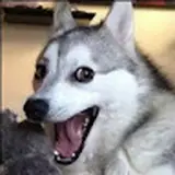 alex.natola132007 icon